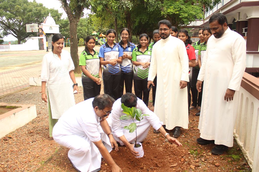 World Environment Day Celebration 2024